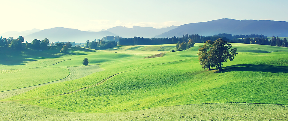 Интернет-магазин Корма для Грызунов SWEET DREAMS